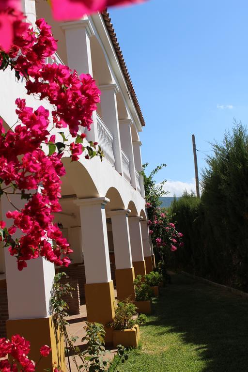 Apartamentos Bolonia Paraiso מראה חיצוני תמונה