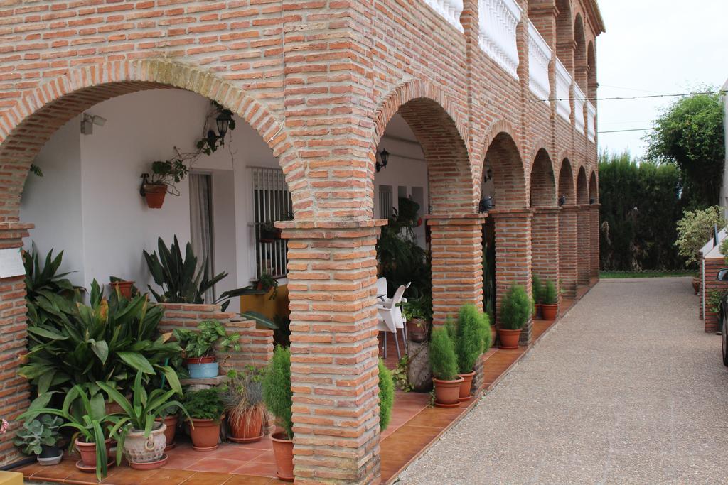 Apartamentos Bolonia Paraiso מראה חיצוני תמונה